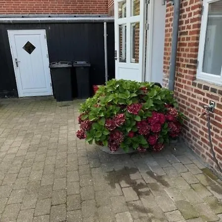 Apartment Korsbrodregade 12